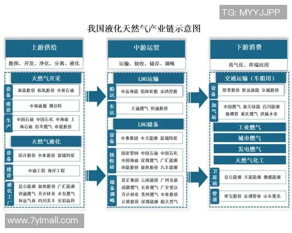 数据分析视角下LNG市场状态与表现的深度探讨与趋势预测 数据分析视角下LNG市场状态与表现的深度探讨与趋势预测